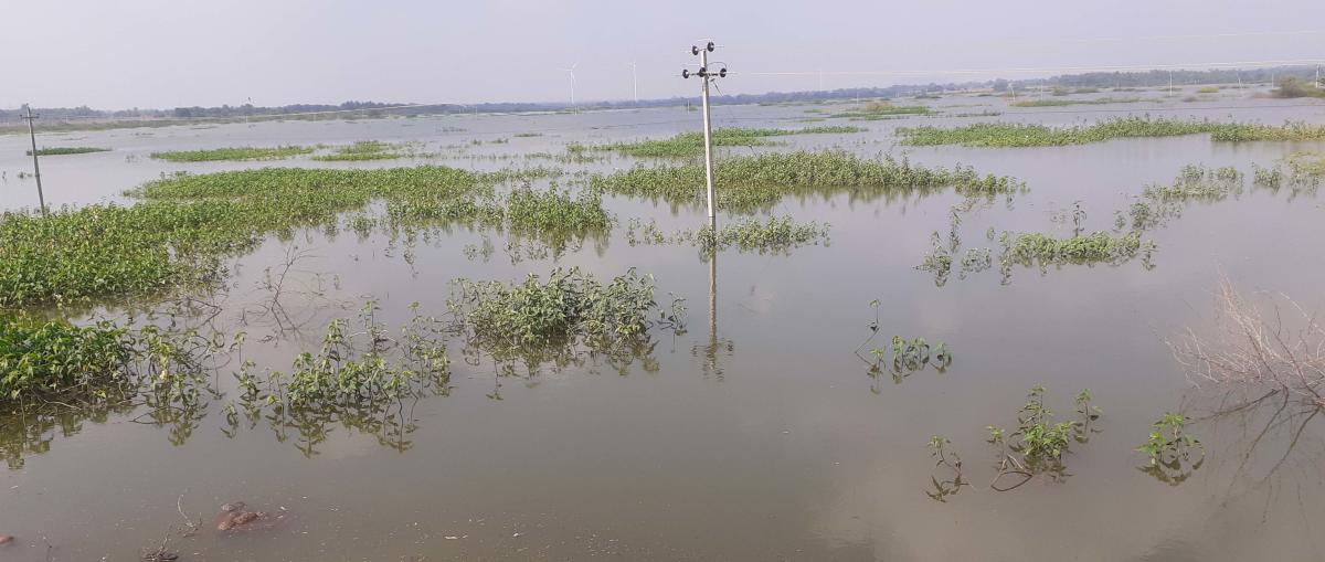 ದಶಕಗಳಿಂದ ಹನಿ ನೀರು ಕಾಣದ ಕೆರೆಗಳು ಈಗ ಅಪಾಯದ ಸ್ಥಿತಿಯಲ್ಲಿ: ಹೆಚ್ಚಿದ ಆತಂಕ