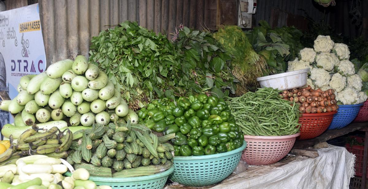 ಬೀದರ್‌: ಹಿಗ್ಗಿದ ಹಿರೇಕಾಯಿ, ಬೆಂಡೆಕಾಯಿ