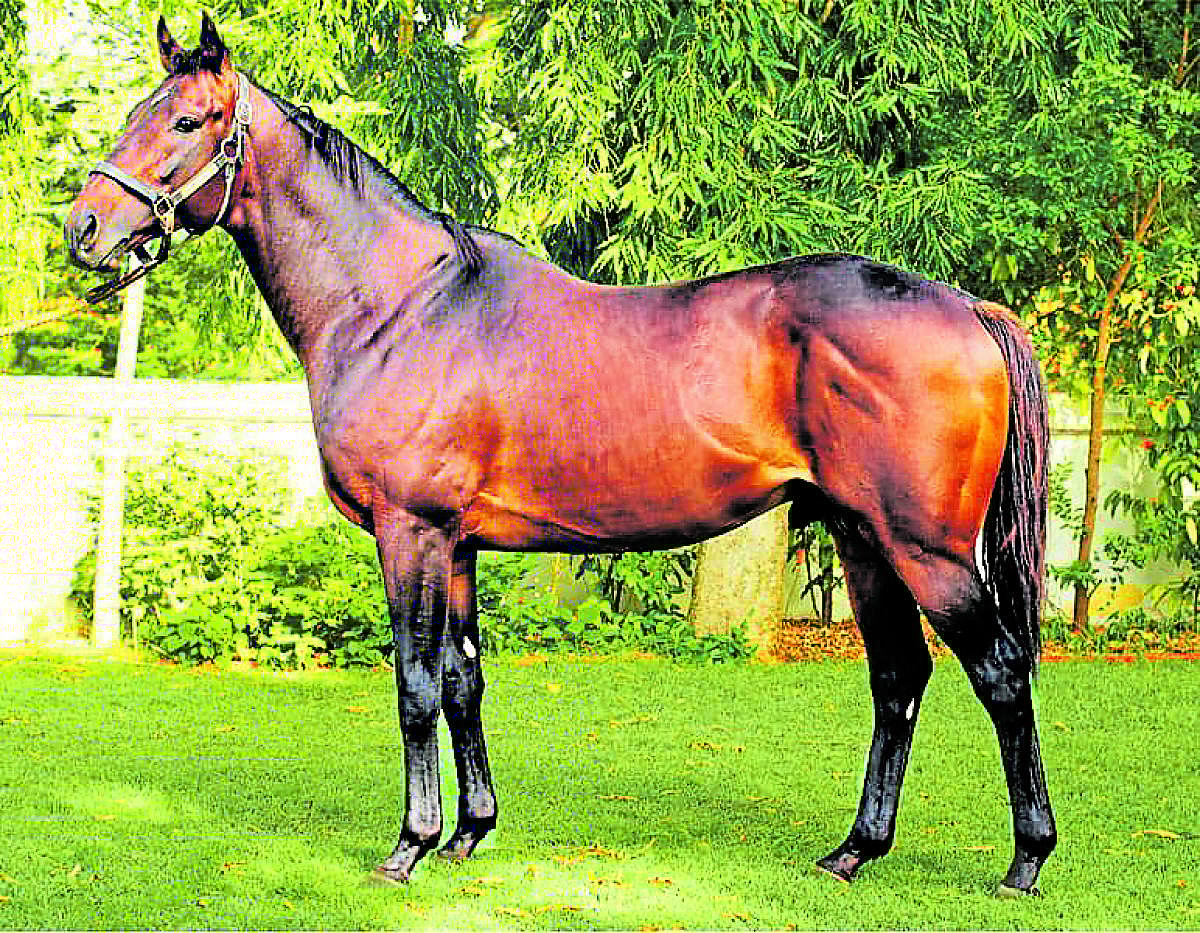 ಗ್ಲ್ಯಾಂಡರ್ಸ್‌: ಚಳಿಗಾಲದ ಬೆಂಗಳೂರು ರೇಸ್‌ ರದ್ದು