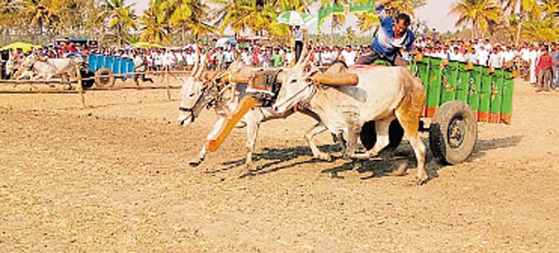 ಎತ್ತಿನಗಾಡಿ ದುರಂತ: ದೂರು ನೀಡಲು ಹಿಂದೇಟು