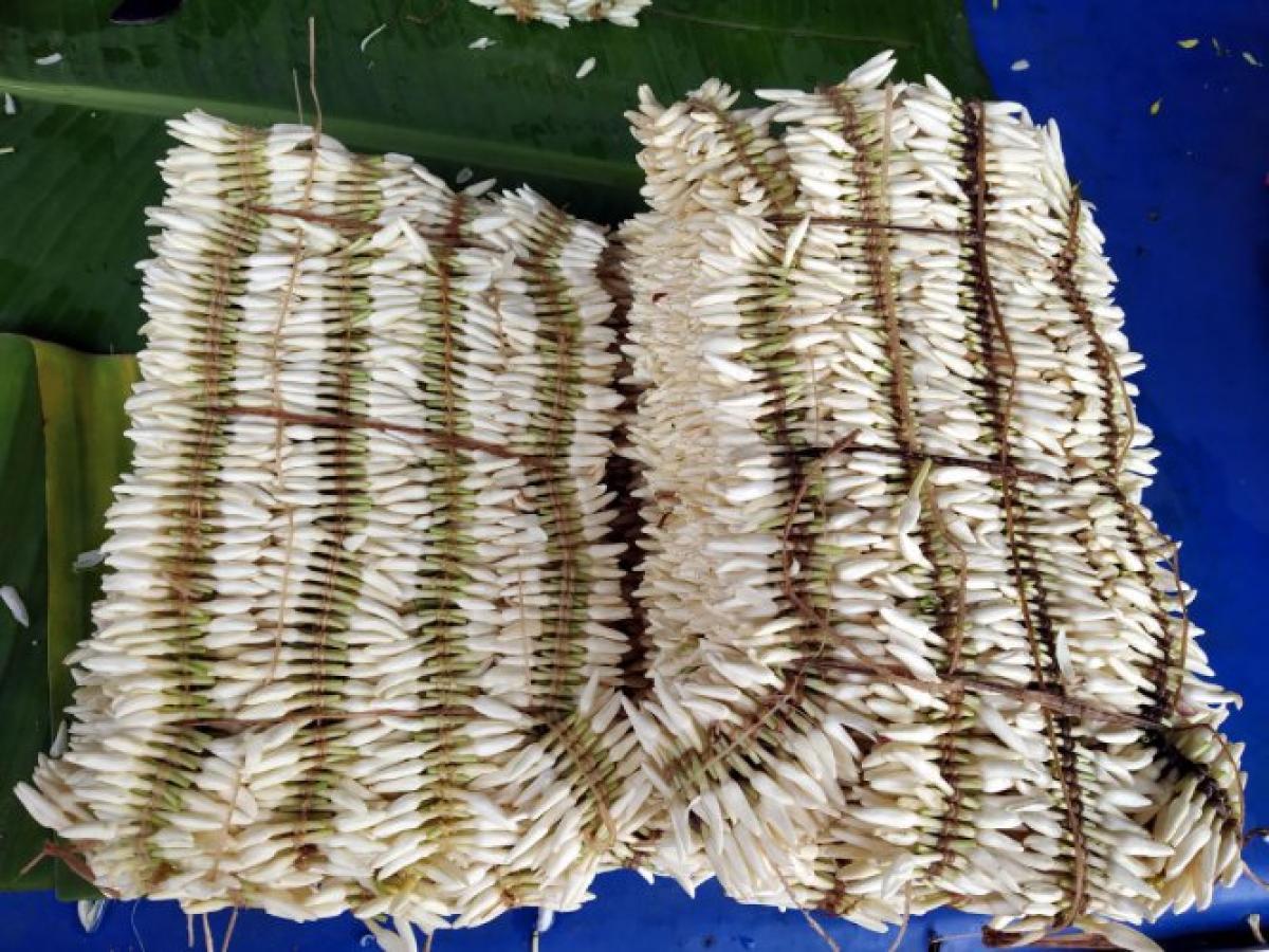 ಉಡುಪಿ ಮಲ್ಲಿಗೆಗೆ ಬರ