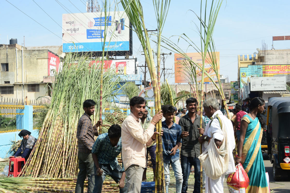ಮಕರ ಸಂಕ್ರಾಂತಿಗೆ ಖರೀದಿ ಭರಾಟೆ