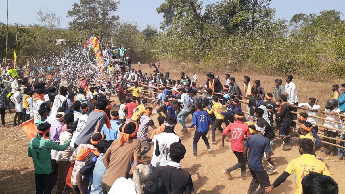 ಸಂಕ್ರಾಂತಿ ಹಬ್ಬದ ಅಂಗವಾಗಿ ಶಿವಮೊಗ್ಗದಲ್ಲಿ ಹೋರಿ ಬೆದರಿಸುವ ಹಬ್ಬ: ಇಬ್ಬರ ಸಾವು