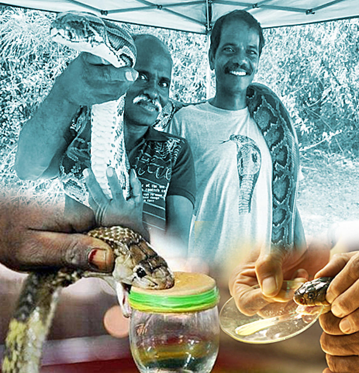 ವಿಶ್ಲೇಷಣೆ: ಪದ್ಮ ವಿಜೇತರಿಗೆ ಬೇಕು ಆರ್ಥಿಕ ಭದ್ರತೆ– ಎಚ್.ಆರ್.ಕೃಷ್ಣಮೂರ್ತಿ ಲೇಖನ