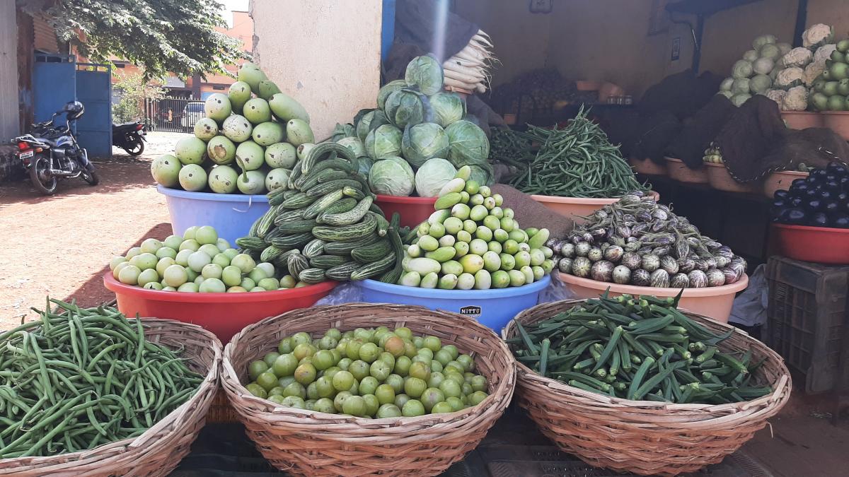 ಬೀದರ್: ಶತಕ ಬಾರಿಸಿದ ಬೆಂಡೆಕಾಯಿ, ಕರಿಬೇವು 