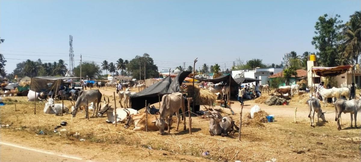ಹುಣಸೂರು: ಕೋಮು ಸೌಹಾರ್ದ ಸಾರುವ ಜಾತ್ರೆಗೆ 59 ವಸಂತ