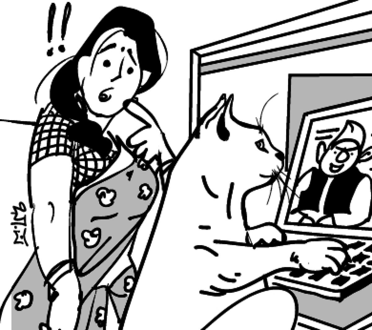 ಚುರುಮುರಿ: ಚುನಾವಣಾ ಸೇವೆಗಳು