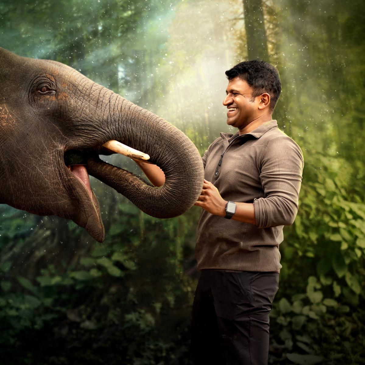 ಅಂತರರಾಷ್ಟ್ರೀಯ ಚಲನಚಿತ್ರೋತ್ಸವ: ಪ್ರಶಸ್ತಿ ಅಂತಿಮ ಸುತ್ತಿಗೆ ಕನ್ನಡದ 14 ಸಿನಿಮಾ