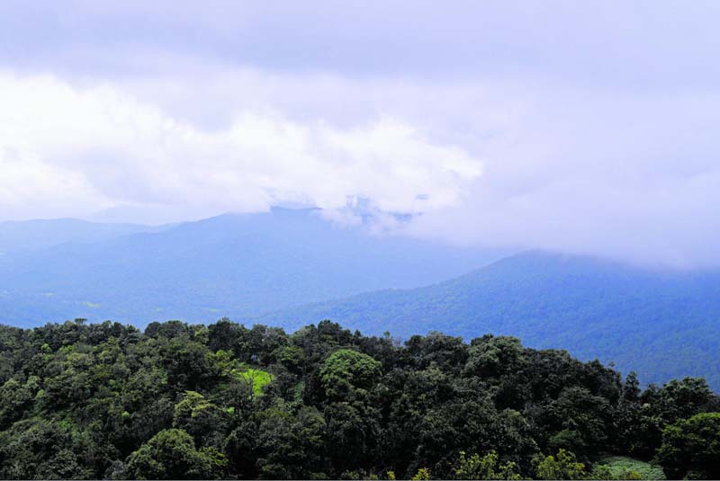 ಕಣಿವೆ ಮೇಲೆ ಮುತ್ತಿಕ್ಕುತ್ತಿರುವ ಮಂಜಿನ ಹನಿಗಳು