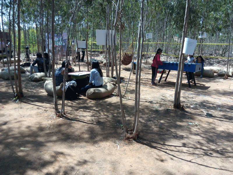 ಮರಗಳ ನೆರಳಿನಲ್ಲಿ ಆಟದ ಮಜಾ