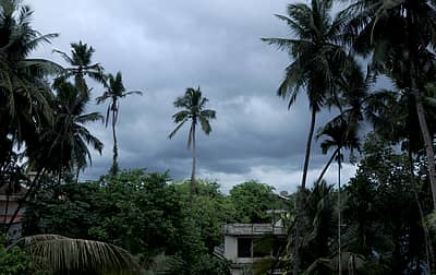 ಮುಂಗಾರಿನ ಮೋಡ...: ಓಡುವ ಮೋಡಗಳು ನಿಂತು ಹನಿಗಳನ್ನು ಚೆಲ್ಲಿದವು. ಕಾದು ಕಾದು ಬಸವಳಿದ ಕರಾವಳಿಯಲ್ಲಿ ಸೋಮವಾರ ನಿರಂತರ ಮಳೆ ಸುರಿಯಿತು. ಕಪ್ಪು ಮೋಡಗಳ ಚೆಲ್ಲಾಟ ಬಿಸಿಲ ತಾಪವನ್ನು ಕಡಿಮೆ ಮಾಡಿದವು. ಬಿರುಸಾದ ಗಾಳಿಗೆ ತೆಂಗಿನ ಗರಿಗಳು ಬೀಸಿ ಆಕಾಶದಲ್ಲಿ ಚಿತ್ತಾರ ಬರೆದವು.  –