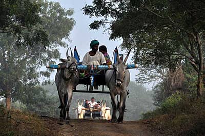 ಮಳೆಯೇ ಬರಲಿ, ಬಿಸಿಲೇ ಇರಲಿ ಕಾಯಕ ಮಾತ್ರ ನಿತ್ಯ ನಿರಂತರ. ಶ್ರಮ ನಮ್ಮದು ಪ್ರತಿಫಲ ಪ್ರಕೃತಿಯದ್ದು ಎಂಬ ವಿಶ್ವಾಸ. ಹಾವೇರಿ ಹೊರವಲಯದಲ್ಲಿ ರೈತರು ಕುಟುಂಬ ಸಮೇತರಾಗಿ ಹೊಲಕ್ಕೆ ಹೋಗುತ್ತಿರುವ ದೃಶ್ಯ.   -ಚಿತ್ರ:  ನಾಗೇಶ ಬಾರ್ಕಿ