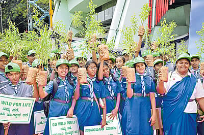 ಅರಣ್ಯ, ಪರಿಸರ ಮತ್ತು ಜೀವಿಶಾಸ್ತ್ರ ಇಲಾಖೆ ಹಾಗೂ ಮಾಲಿನ್ಯ ನಿಯಂತ್ರಣ ಮಂಡಳಿ ಭಾನುವಾರ ಏರ್ಪಡಿಸಿದ್ದ ಪರಿಸರ ಉಳಿಸಿ ರ‍್ಯಾಲಿಯಲ್ಲಿ ಸ್ಕೌಟ್‌ ಮತ್ತು ಬುಲ್‌ ಬುಲ್‌ ವಿದ್ಯಾರ್ಥಿಗಳು ಭಾಗವಹಿಸಿದ್ದರು.   -ಪ್ರಜಾವಾಣಿ ಚಿತ್ರ