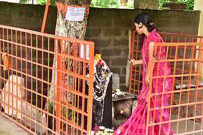 ಕಲಬುರ್ಗಿಯ ಶಕ್ತಿನಗರದ ಅರಳಿಕಟ್ಟೆಯಲ್ಲಿ ಶನಿವಾರ ಗೃಹಿಣಿ ನಾಗರಮೂರ್ತಿಗೆ ಪಜೆ ಸಲ್ಲಿಸಿದರು