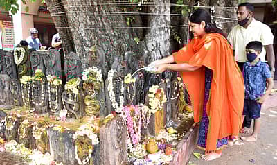 ಮೈಸೂರಿನ ಅಮೃತೇಶ್ವರ ದೇಗುಲದಲ್ಲಿ ಶನಿವಾರ ನಾಗರ ಪಂಚಮಿ ಪ್ರಯುಕ್ತ ಭಕ್ತರು ನಾಗರಕಲ್ಲುಗಳಿಗೆ ಹಾಲನೆರೆದರು. ಚಿತ್ರ– ಬಿ.ಆರ್‌ ಸವಿತಾ