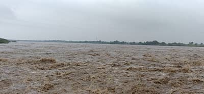 ಭೀಮಾ ಜಲಾನಯನ ಪ್ರದೇಶದಲ್ಲಿ ವ್ಯಾಪಕ ಮಳೆಯಾಗುತ್ತಿರುವುದರಿಂದ ಮಹಾರಾಷ್ಟ್ರದ ಉಜನಿ ಮತ್ತು ವೀರ್ ಜಲಾಶಯದಿಂದ ಹೆಚ್ಚಿನ ಪ್ರಮಾಣದಲ್ಲಿ ನೀರು ಭೀಮಾ ನದಿಗೆ ಬಿಟ್ಟಿರುವುದರಿಂದ ಸೊನ್ನ ಬ್ಯಾರೇಜಿಗೆ 1,98,000 ಕ್ಯುಸೆಕ್ ನೀರು ಒಳ ಹರಿವಾಗಿ ಬರುತ್ತಿದೆ.