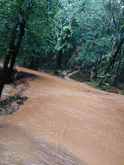 ಭಾರಿ ಮಳೆಯಿಂದ ಹೊಸನಗರ ತಾಲ್ಲೂಕು ಕೊಡಚಾದ್ರಿ-ಸಂಪೇಕಟ್ಟೆ ರಸ್ತೆಯಲ್ಲಿ ಗುಡ್ಡ ಕುಸಿದರುವ ದೃಶ್ಯ
