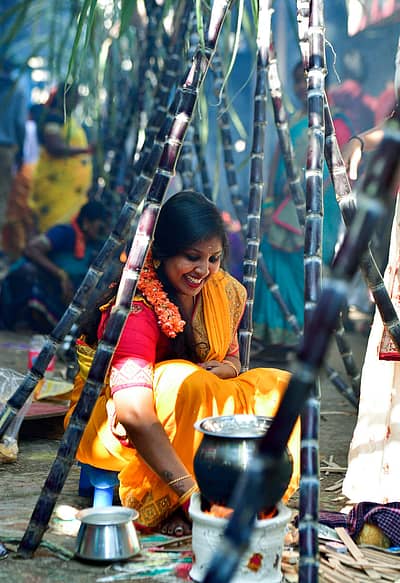 ಬೆಂಗಳೂರು ನಗರದ ಲಾಲ್‌ಬಾಗ್‌ ರಸ್ತೆಯ ಕೆ.ಎಸ್‌. ಗಾರ್ಡನ್‌ ನಿವಾಸಿಗಳು ಮಕರ ಸಂಕ್ರಾಂತಿಯ ದಿನವಾದ ಬುಧವಾರ ಪೊಂಗಲ್‌ ಆಚರಿಸಿ ಸಂಭ್ರಮಿಸಿದರು –ಪ್ರಜಾವಾಣಿ ಚಿತ್ರ/ಕೃಷ್ಣಕುಮಾರ್ ಪಿ.ಎಸ್