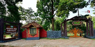 ಸಾಲುಮರದ ತಿಮ್ಮಕ್ಕ ವೃಕ್ಷೋದ್ಯಾನವನದ ಆಕರ್ಷಕ ನೋಟ