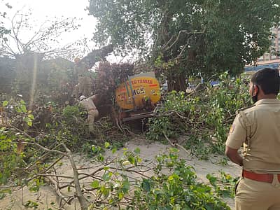ಮರ ತೆರವು ಕಾರ್ಯಾಚರಣೆ