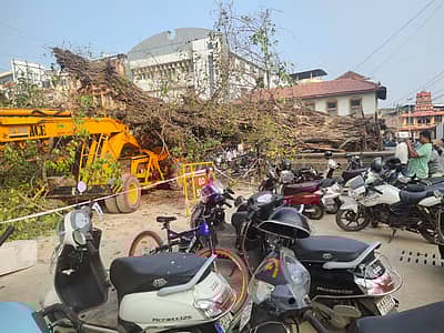 ಮರದ ಕೆಳಗೆ ಸಿಲುಕಿರುವ ಕ್ರೇನ್‌