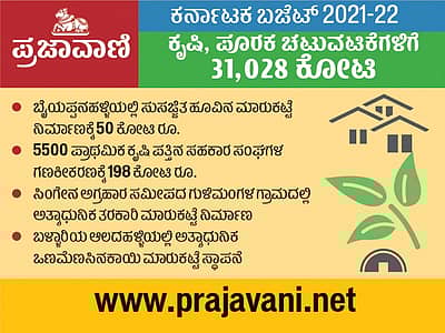 ಕೃಷಿ ಮತ್ತು ಪೂರಕ ಚಟುವಟಿಕೆಗಳಿಗೆ ₹31,028 ಕೋಟಿ –ವಿನ್ಯಾಸ: ಭಾವು ಪತ್ತಾರ್