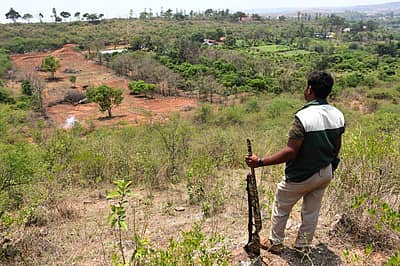 ಆನೆ ಬೆದರಿಸಲು ಬಂದೂಕು ಹಿಡಿದಿದ್ದ ಅರಣ್ಯ ಇಲಾಖೆ ಸಿಬ್ಬಂದಿ