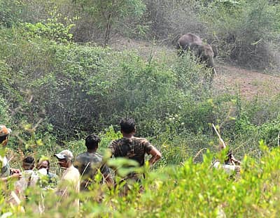 ಅರಣ್ಯ ಇಲಾಖೆ ಸಿಬ್ಬಂದಿಯಿಂದ ಆನೆ ಓಡಿಸುವ ಕಾರ್ಯ