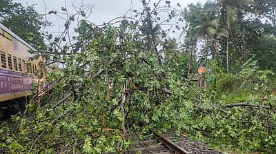 ರೈಲು ಹಳಿಯ ಮೇಲೆ ಬಿದ್ದಿರುವ ಮರ