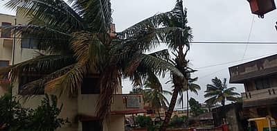 ಬೆಳಗಾವಿಯಲ್ಲಿ ಜೋರು ಗಾಳಿಯೊಂದಿಗೆ ಮಳೆಯಾಗುತ್ತಿದೆ.