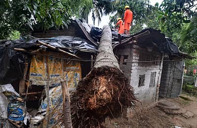 ಮರ ಬಿದ್ದ ಪರಿಣಾಮ ಮನೆ ಸಂಪೂರ್ಣವಾಗಿ ಹಾನಿಯಾಗಿದೆ.