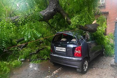 ಧರೆಗುರುಳಿದ ಮರ, ಕಾರು ಜಖಂ