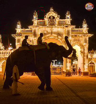 ಮೈಸೂರು ದಸರಾ ಸಂಭ್ರಮ: ವಿದ್ಯುತ್‌ ದೀಪಾಲಂಕಾರದ ಮೈಸೂರಿನ ಅಂಬಾ ವಿಲಾಸ ಅರಮನೆ ಮುಂದೆ ಸೊಂಡಿಲೆತ್ತಿ ನಿಂತಿರುವ ಆನೆ– ಪ್ರಜಾವಾಣಿ ಚಿತ್ರಗಳು/ ಸವಿತಾ ಬಿ.ಆರ್‌.