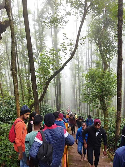 ದೇವೀರಮ್ಮ ಬೆಟ್ಟಕ್ಕೆ ದೀಪೋತ್ಸವ ಸಡಗರ