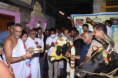 ಮೈಸೂರು ಶ್ರೀಚಾಮುಂಡೇಶ್ವರಿ ದೇವಸ್ಥಾನದಲ್ಲಿ ಗೋ ಪೂಜೆ
