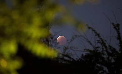 ಸ್ಯಾಂಟಿಯಾಗೊದಲ್ಲಿ ಪಾರ್ಶ್ವ ಚಂದ್ರಗ್ರಹಣ