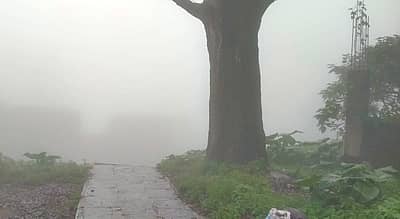 ನಂದಿಬೆಟ್ಟದಲ್ಲಿ ಮಂಜು ಆವರಿಸಿರುವ ದೃಶ್ಯ