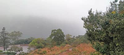 ನಂದಿಬೆಟ್ಟದಲ್ಲಿ ಮಂಜು ಆವರಿಸಿರುವ ದೃಶ್ಯ