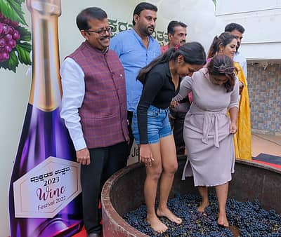 ದ್ರಾಕ್ಷಿಯನ್ನು ತುಳಿಯುವ ಮೂಲಕ ಸಾಂಪ್ರದಾಯಿಕ ವೈನ್ ತಯಾರಿಕೆಗೆ ಚಾಲನೆ ನೀಡಿದ ಯುವತಿಯರು. – ಚಿತ್ರ: ಮರಿಯಾ ಎಸ್ ಮತ್ತತ್ತಿಲ್