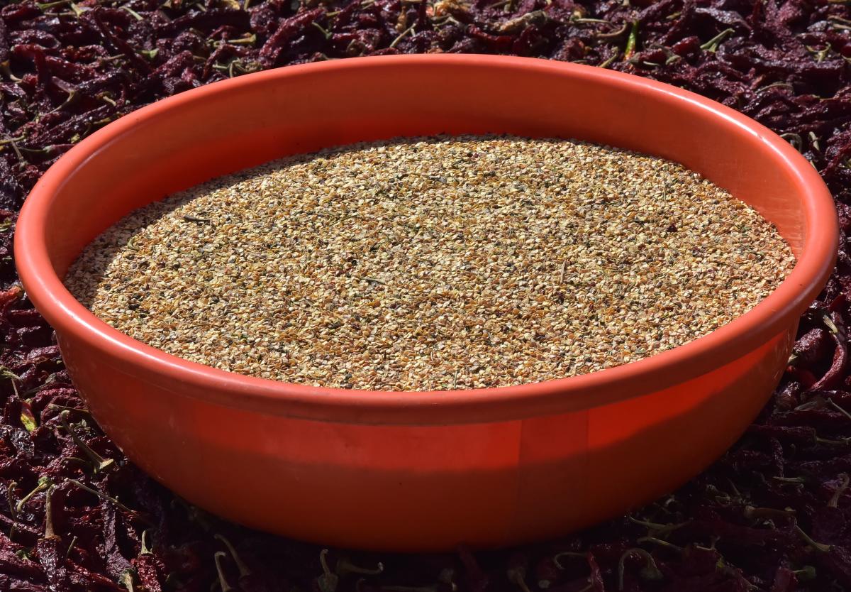 ಸಂಸ್ಕರಿಸಿದ ಬಿತ್ತನೆ ಬೀಜ