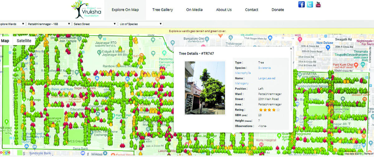 ಪ್ರಾಜೆಕ್ಟ್‌ ವೃಕ್ಷ ಫೌಂಡೇಷನ್‌ನ ವೆಬ್‌ಸೈಟ್‌ನಲ್ಲಿ ಪಟ್ಟಾಭಿರಾಮನಗರ ವಾರ್ಡ್‌ನ ಮರಗಳ ಮಾಹಿತಿ