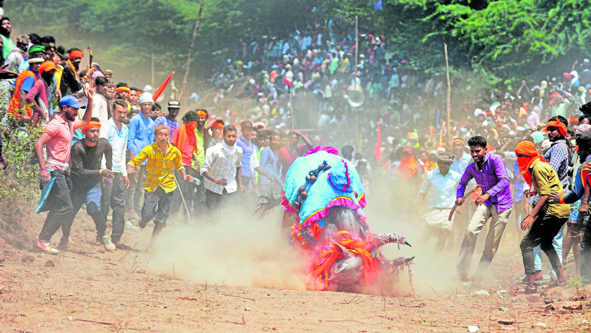 ಮುಗ್ಗರಿಸಿ ಬಿದ್ದರೂ ಏಳಬೇಕು, ಎದ್ದು ಮುನ್ನುಗ್ಗಬೇಕು