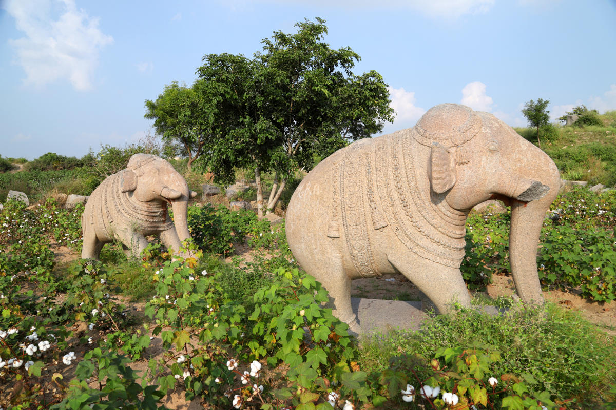 ರಾಯಚೂರು ತಾಲ್ಲೂಕು ಮಲಿಯಾಬಾದ್‌ ಗ್ರಾಮದ ಜಮೀನೊಂದರಲ್ಲಿ ದಾರಿಕಾಣದೆ ನಿಂತಿರುವ ಕಲ್ಲಾನೆಗಳು