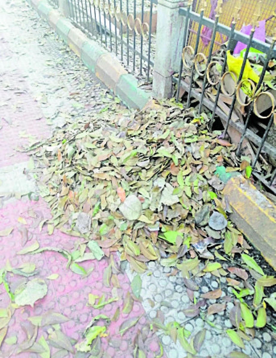 ವಿಶ್ವೇಶ್ವರಯ್ಯ ಉದ್ಯಾನದ ದುಸ್ಥಿತಿ