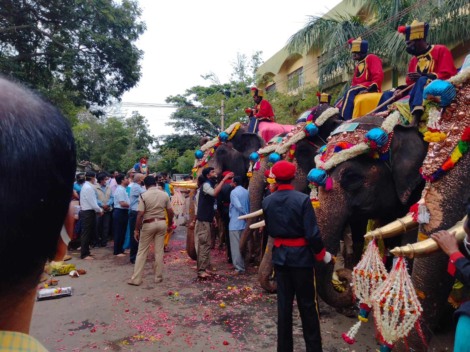ಗಜಪಡೆಗೆ ಹಣ್ಣು ಬೆಲ್ಲ ಹಾಗೂ ಇತರ ತಿನಿಸುಗಳನ್ನು ನೀಡಲಾಯಿತು