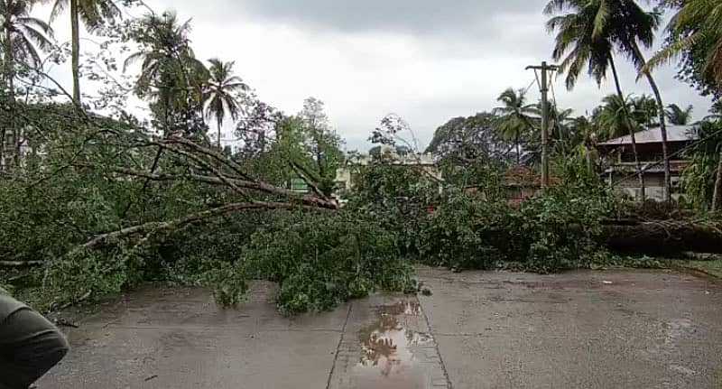 ಕುಮಾರಧಾರದ ಬಳಿ ಮುಖ್ಯರಸ್ತೆಗೆ ಅಡ್ಡಲಾಗಿ ಮರವೊಂದು ಬಿದ್ದು, ಕೆಲಕಾಲ ವಾಹನ ಸಂಚಾರ ಸ್ಥಗಿತವಾಗಿತ್ತು.