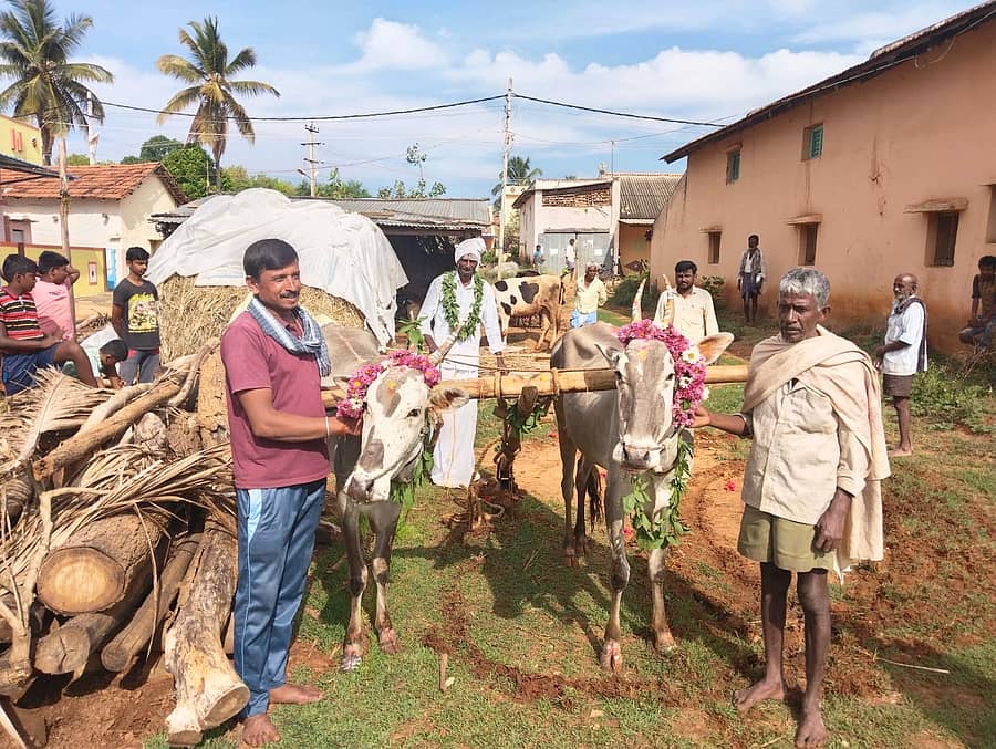 ಗುಬ್ಬಿ ತಾಲ್ಲೂಕು ನಿಟ್ಟೂರು ಹೋಬಳಿ ಎನ್. ನಂದಿಹಳ್ಳಿಯಲ್ಲಿ ಹೊನ್ನಾರು ಹೂಡಿ ಕೃಷಿ ಚಟುವಟಿಕೆ ಪ್ರಾರಂಭಿಸಿದ ರೈತರು