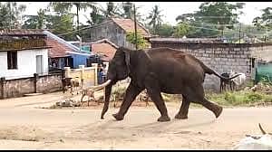 ಪ್ರಾತಿನಿಧಿಕ ಚಿತ್ರ