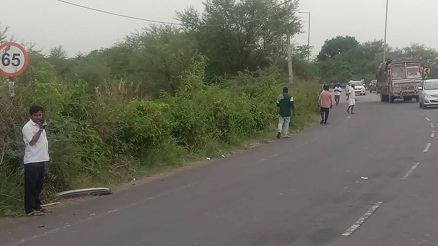 ರಾಷ್ಟ್ರೀಯ ಹೆದ್ದಾರಿಯ ಬದಿಯಲ್ಲಿರುವ ಗಿಡಗಂಟಿಗಳು