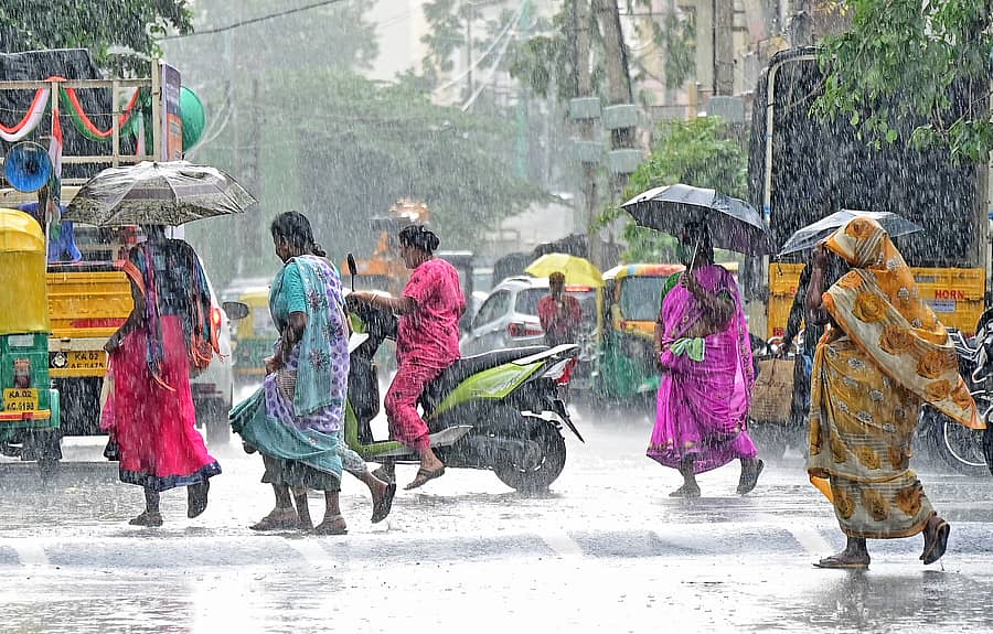 <div class="paragraphs"><p>ಪ್ರಜಾವಾಣಿ ಚಿತ್ರ/ ರಂಜು ಪಿ.</p></div>